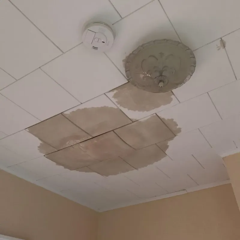 Ceiling Water Damage Repair in El Cerro, NM