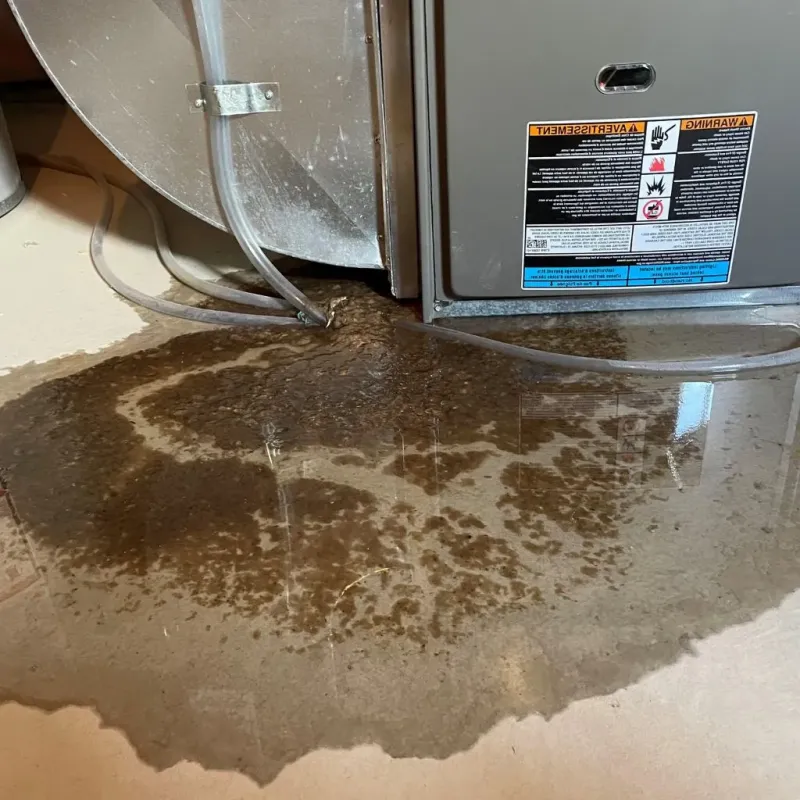Pipe Burst and Leak Restoration in El Cerro, NM